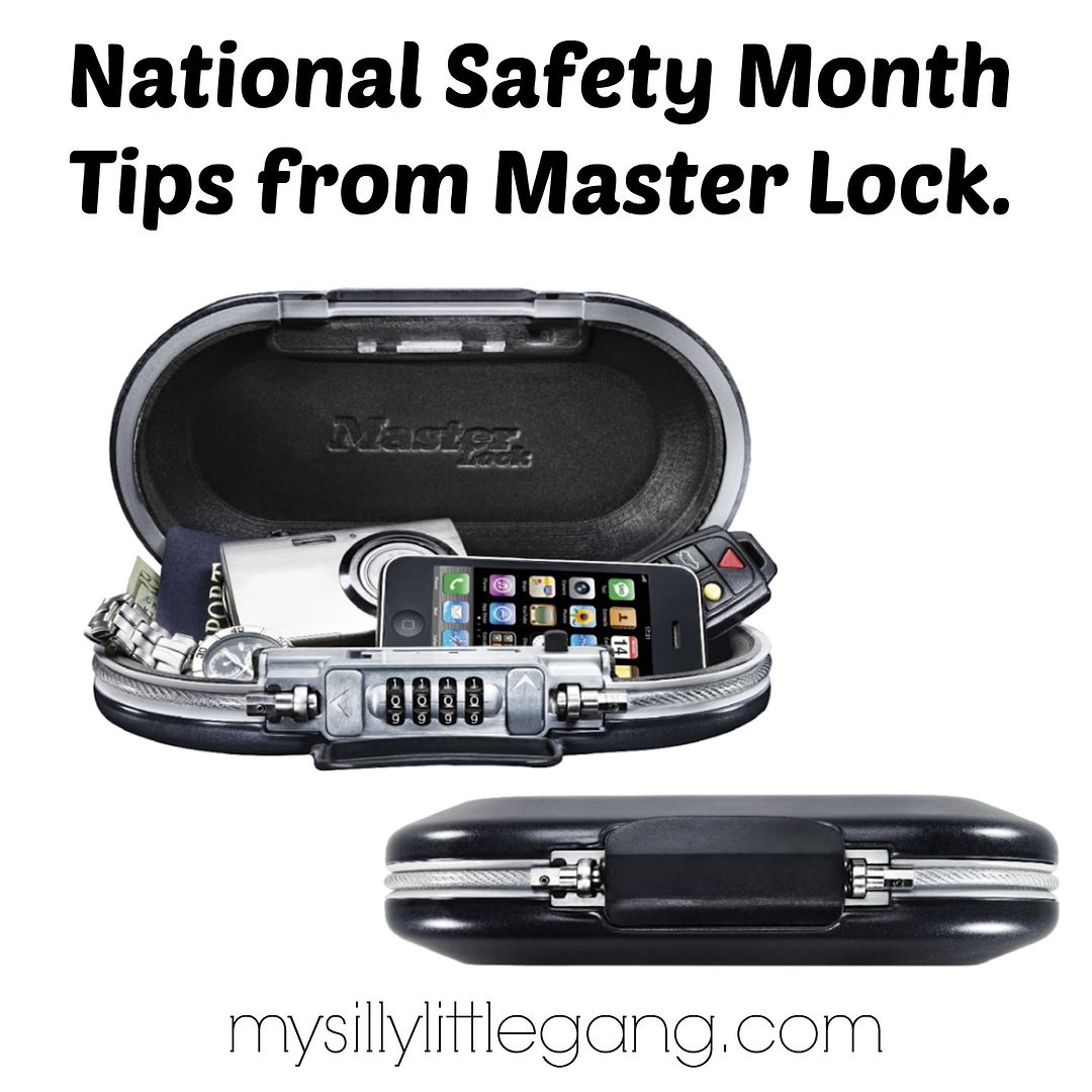 master-lock-tips