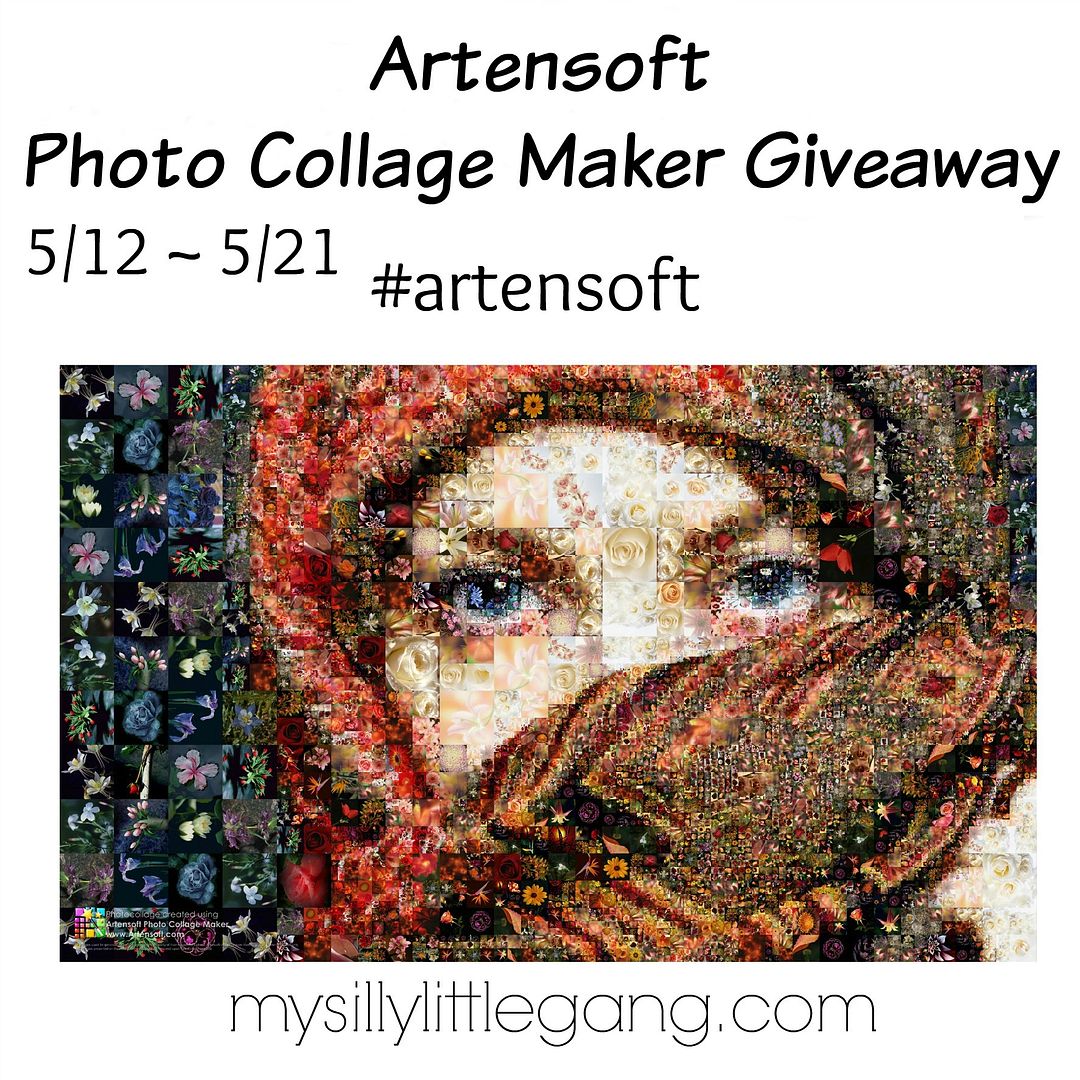 artensoft-giveaway