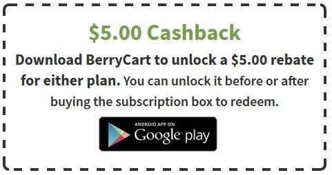 berrycart-subscription-box