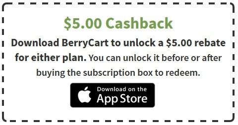 berrycart-subscription-box