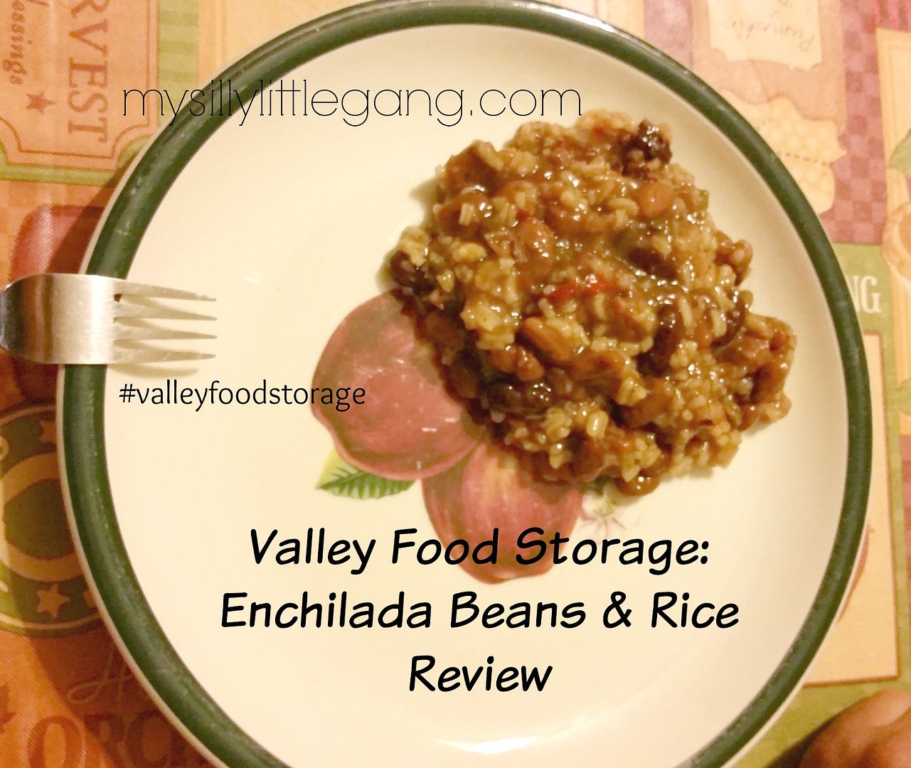enchilada-beans-rice