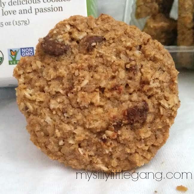 ginny-bakes-chocolate-chip-oatmeal-cookies