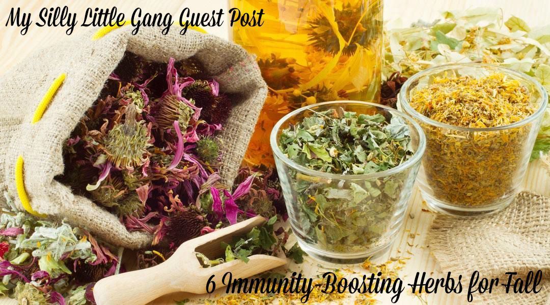 guest-post-6-immunity-boosting-herbs-for-fall