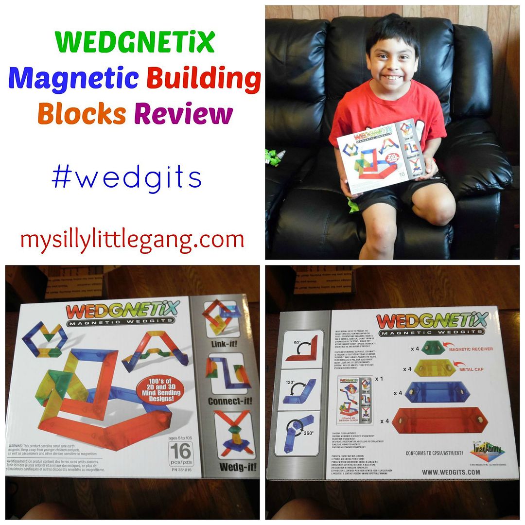 wedgnetix-magnetic-building-blocks