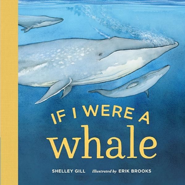 If I were a whale
