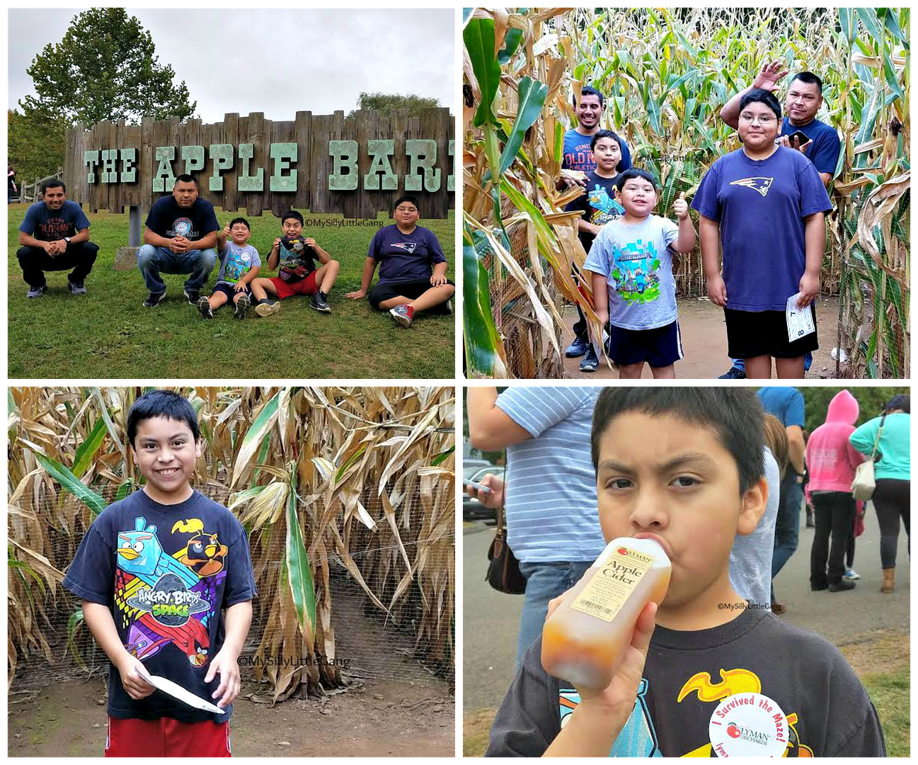 My Silly Little Gang Lyman Orchards visit