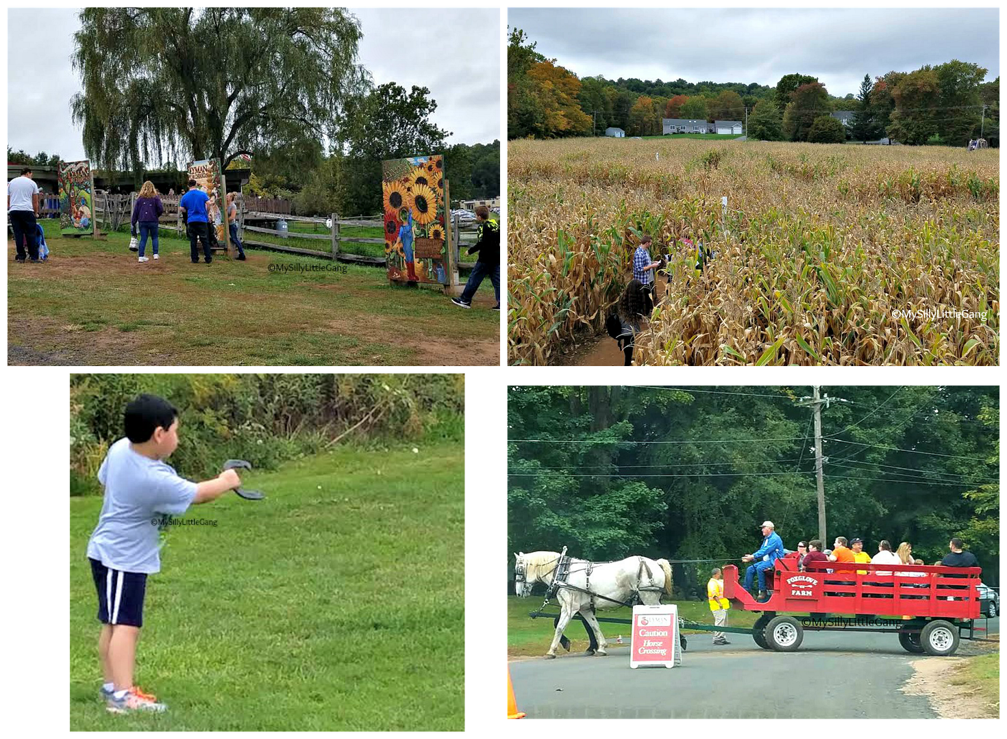 My Silly Little Gang Lyman Orchards visit