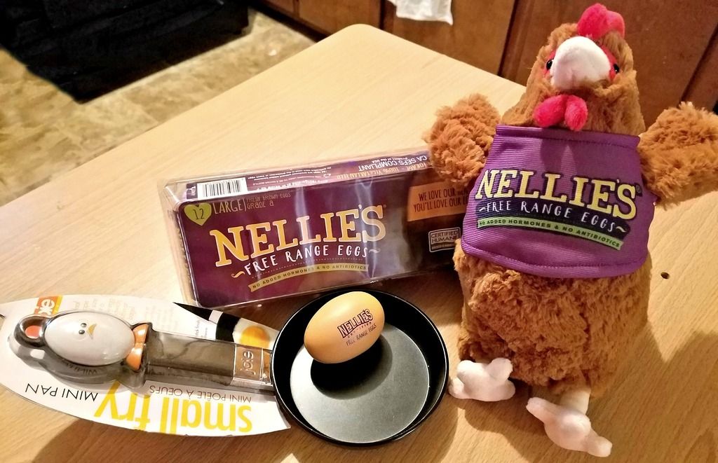 Nellie’s Summer School