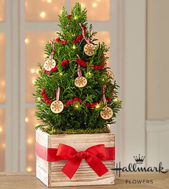 FTD True Traditions Christmas Tree by Hallmark