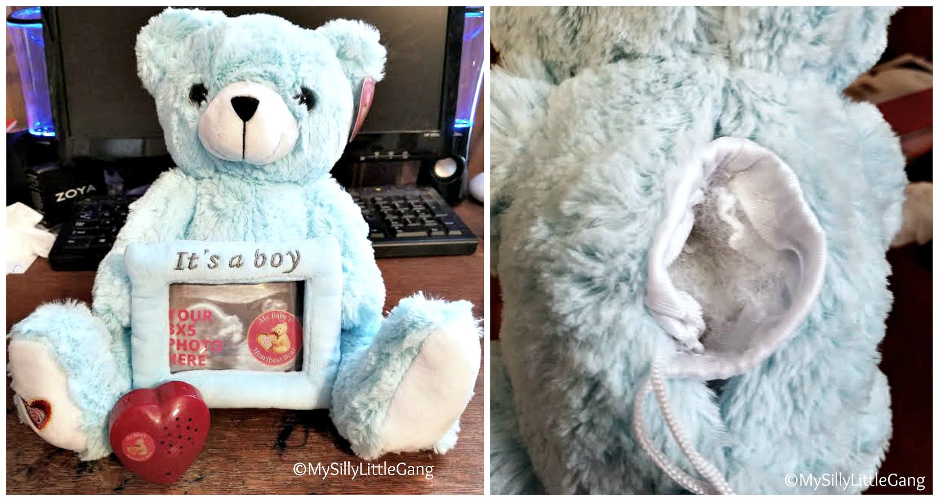 gender reveal bear