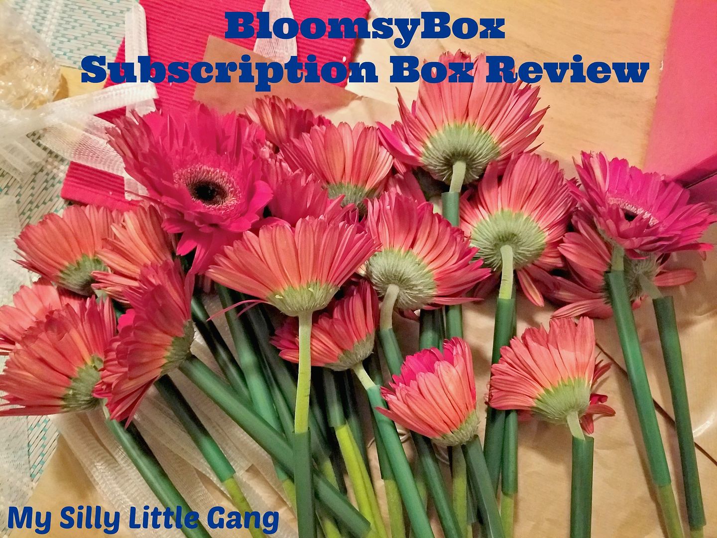 BloomsyBox Subscription Box Review