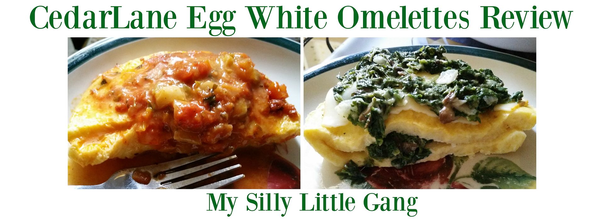 egg white omelettes