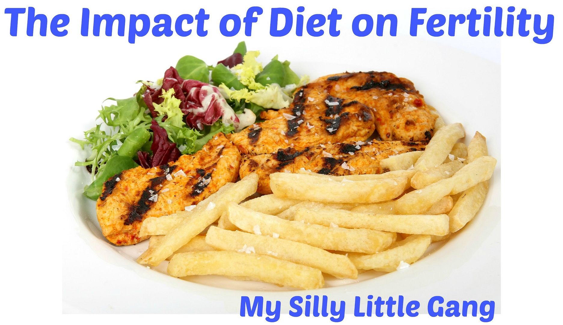 Impact of Diet on Infertility