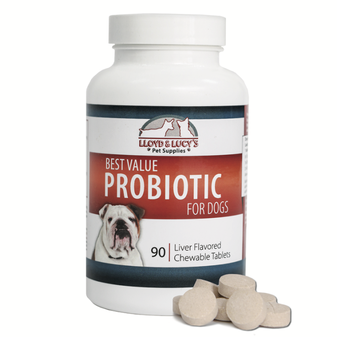 Dog probiotic