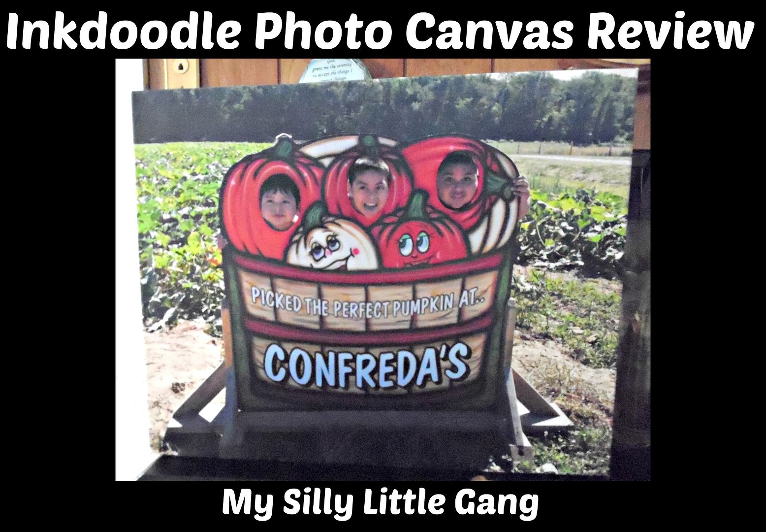 Photo Canvas Review