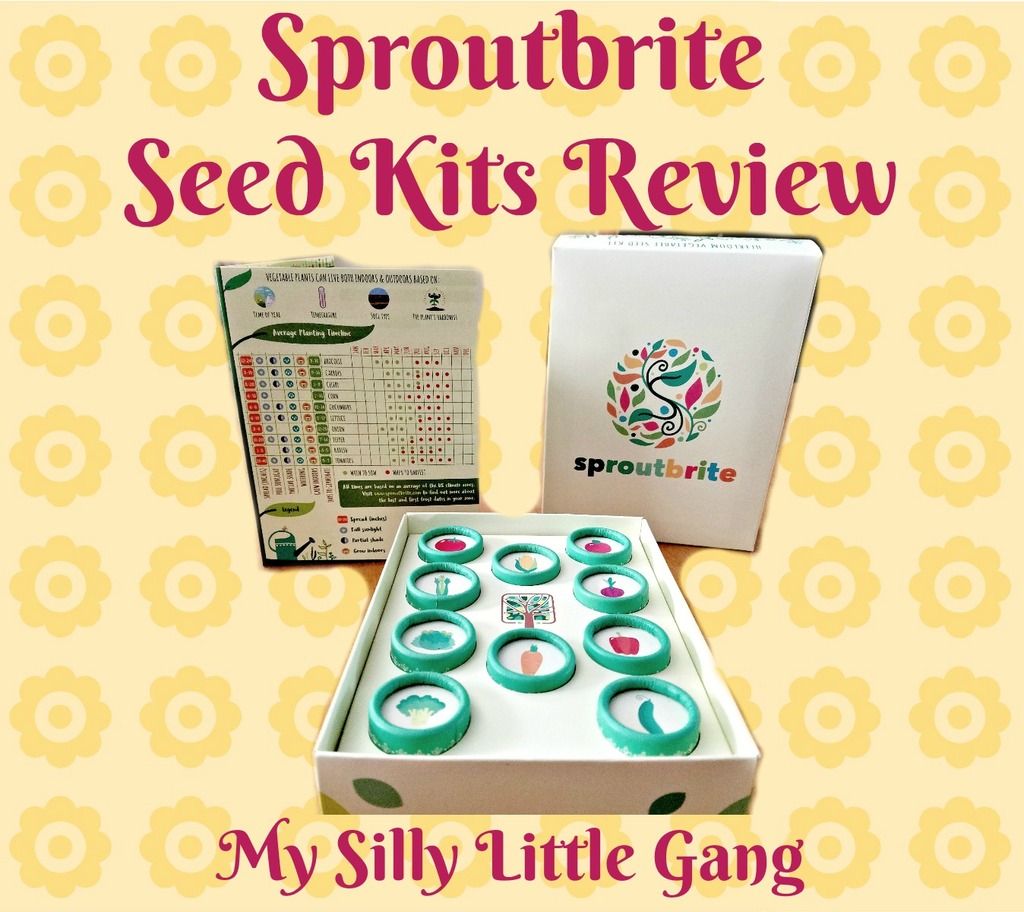 seed kits