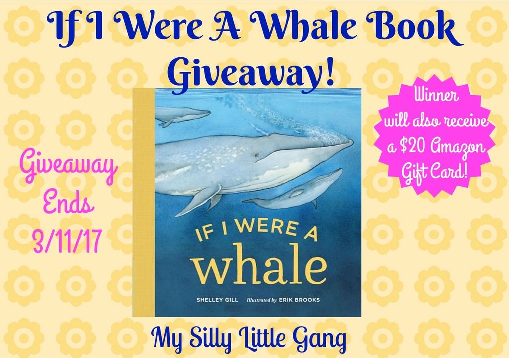 whale book giveaway