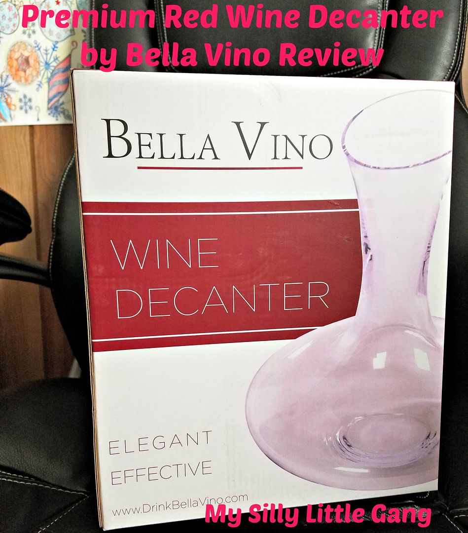 Wine Decanter Review
