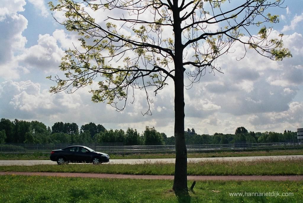 Fotografie