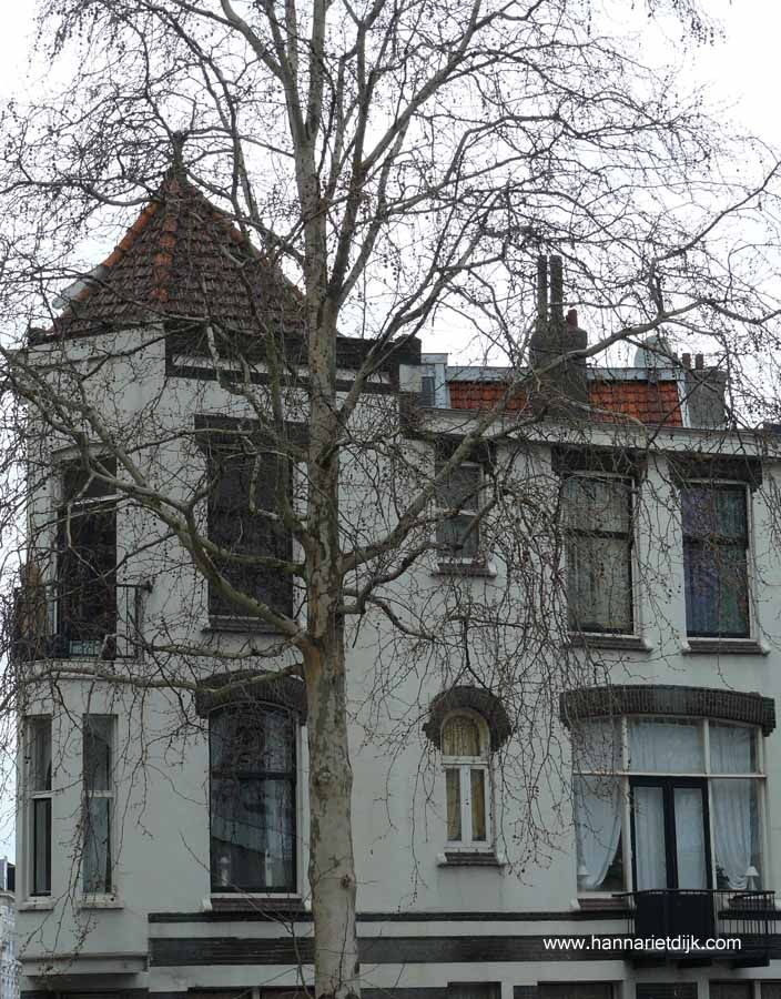 Fotografie