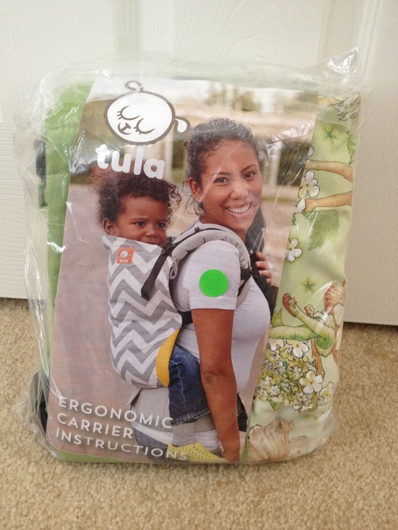 NWT Standard Lucy's Garden Tula Abby's Lane Exclusive Limited Print