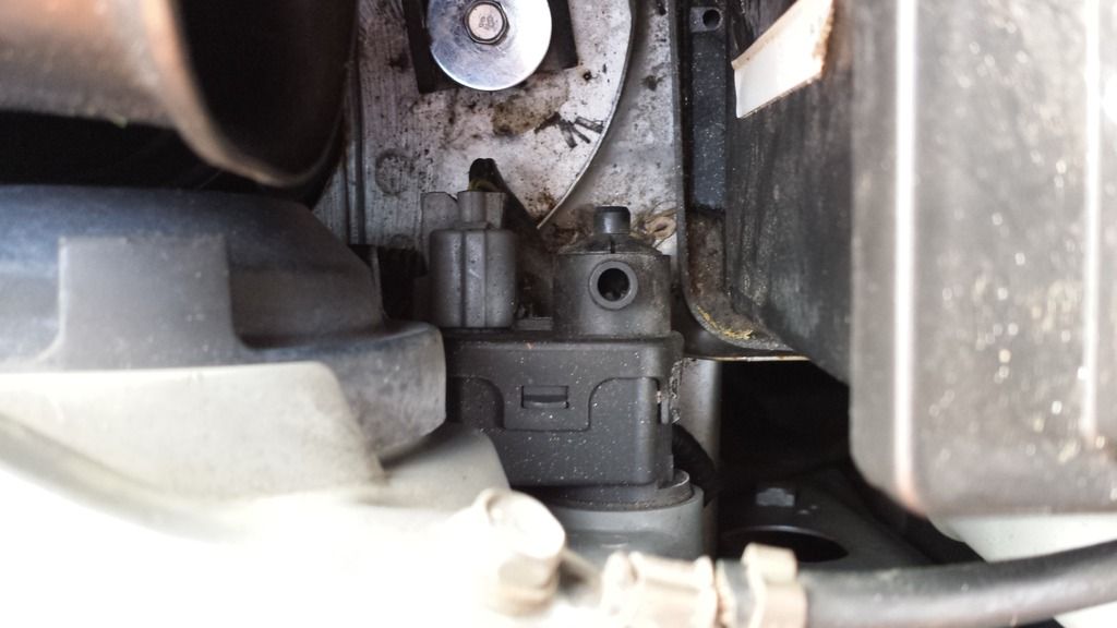 20150828_182726_zpsnnlgaz91.jpg