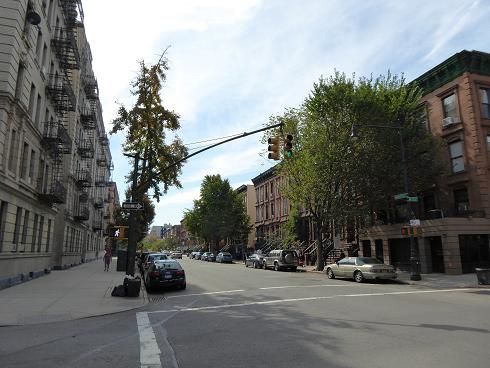 28 DE SEPTIEMBRE. HARLEM Y CENTRAL PARK NORTE. - THE BIG APPLE (12)