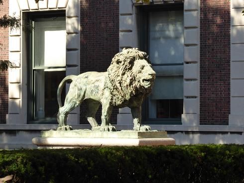 28 DE SEPTIEMBRE. HARLEM Y CENTRAL PARK NORTE. - THE BIG APPLE (23)