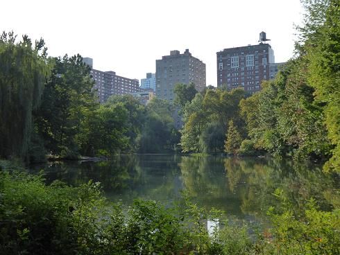 28 DE SEPTIEMBRE. HARLEM Y CENTRAL PARK NORTE. - THE BIG APPLE (29)