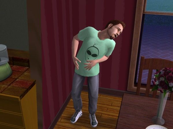 les sims 2 sexe