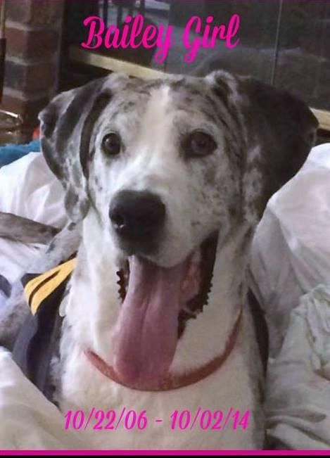 My Angel Bailey Girl
