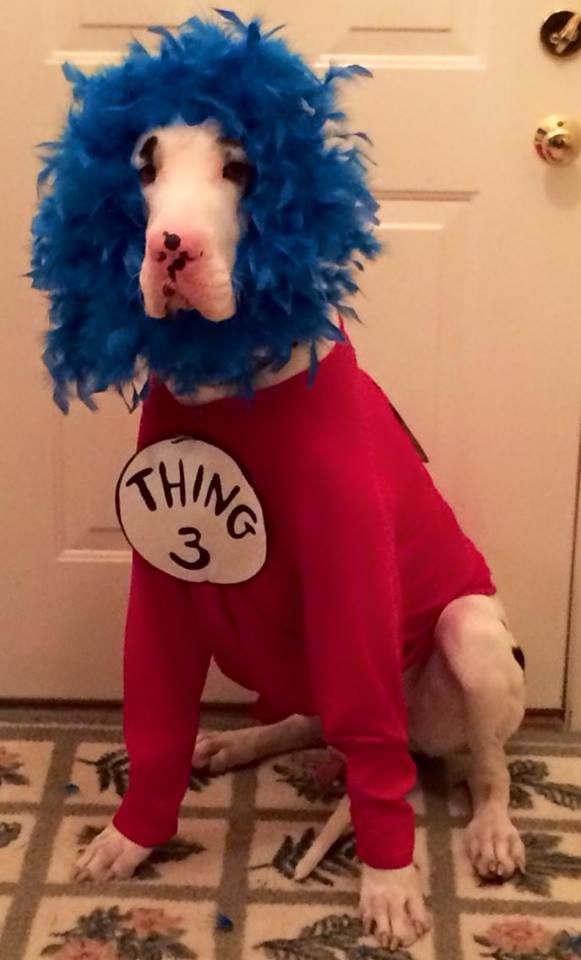 Diesel ~ Thing 3