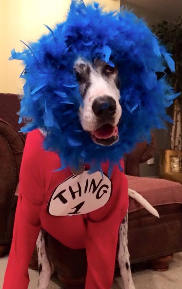 Thing 1 ~ Bella