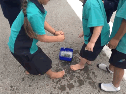 photo 5SecondsApp_436745182.076135_zpsylozreor.gif