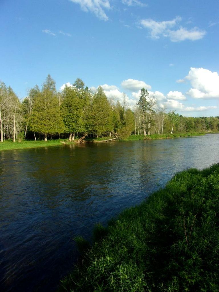 Fishing%202016%20013_zpstue9xg9q.jpg