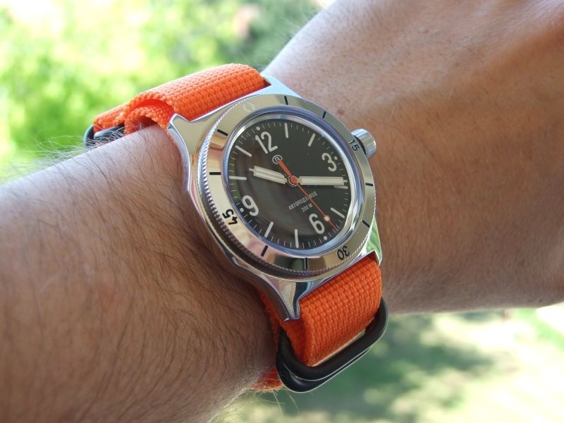 amphibia100-se-32_zpsvmvtbz4z.jpg