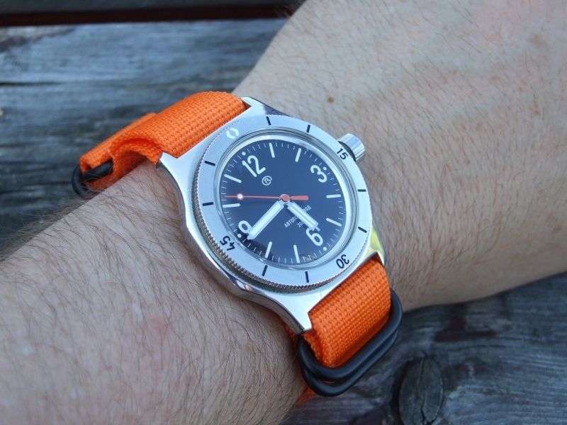 amphibia100-se-33_zpsrxfaekyc.jpg