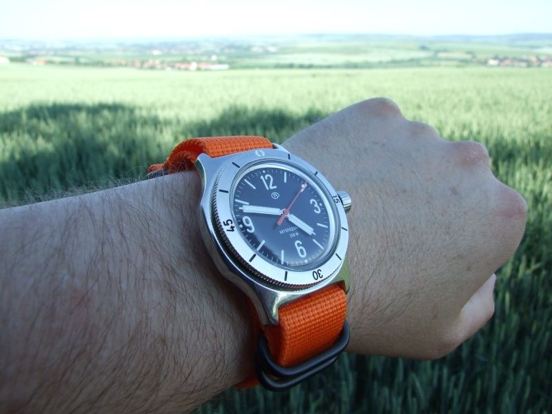 amphibia100-se-35_zpsrbk6ega7.jpg