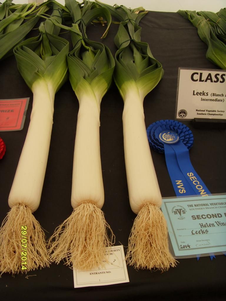 Blanch leeks - Helen Vincent photo SDC16948_zpscfba925b.jpg