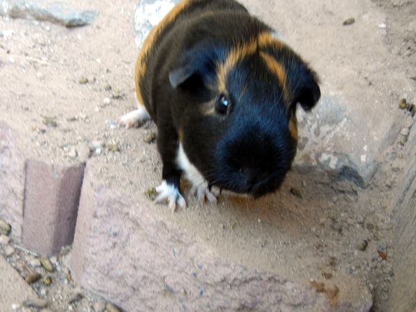 DSCN3733_zps9cada9cd.jpg